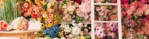 floristerias cabecera