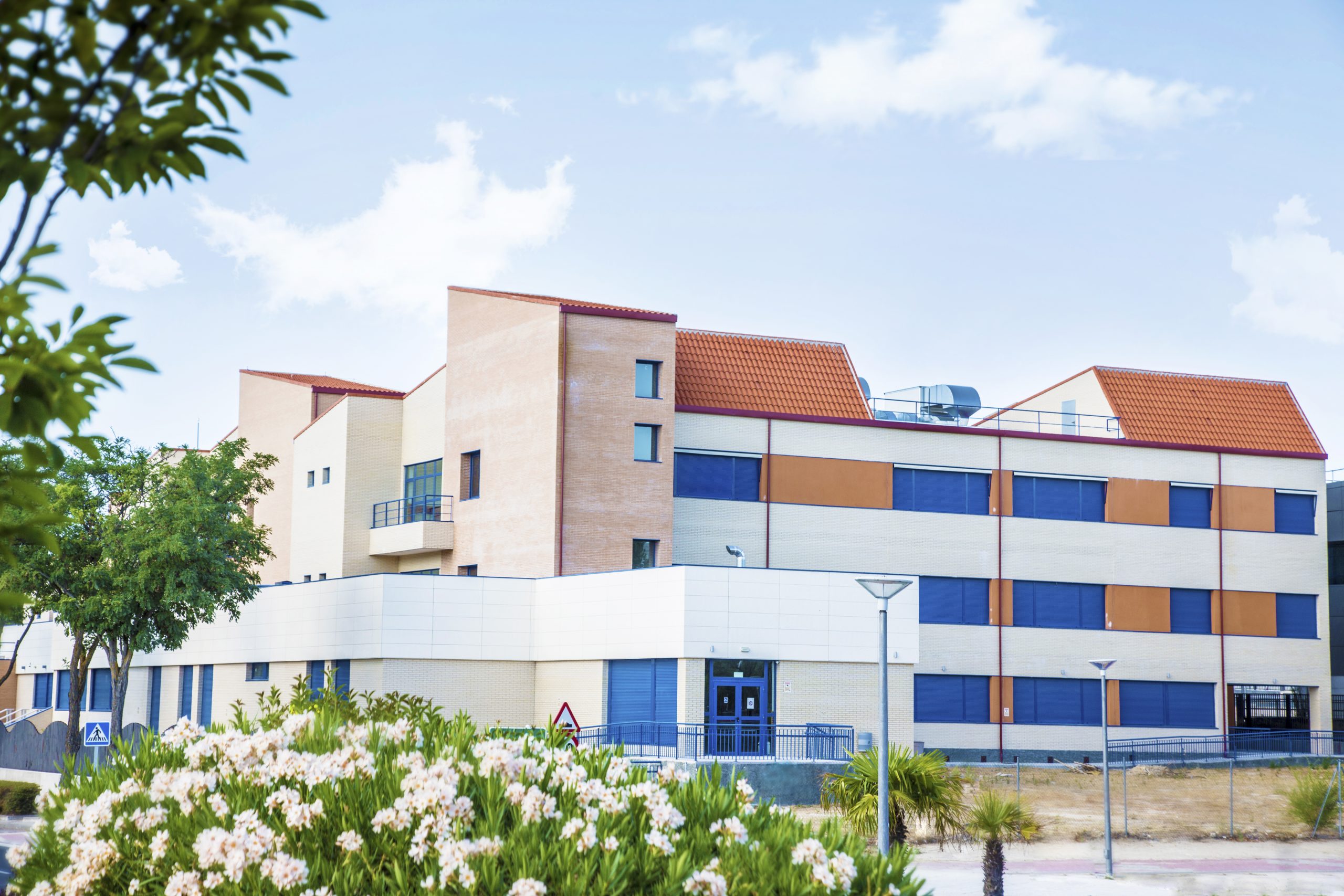 mad colegio las rozas 39 scaled