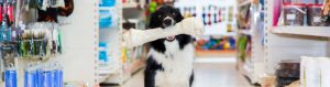 tienda de animales cabecera